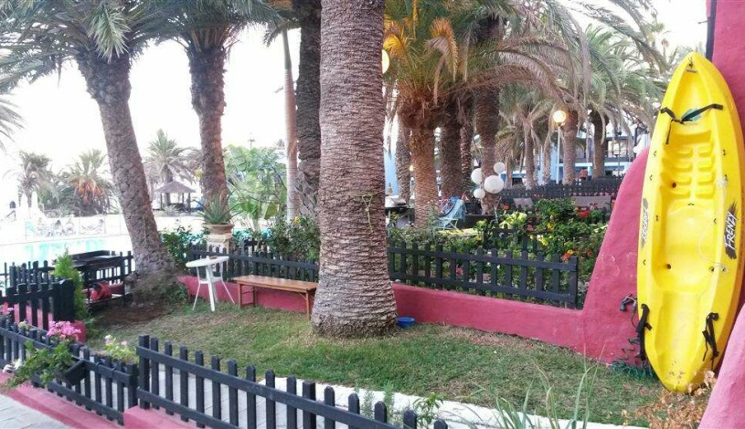 Apartment Calle los Pinos Canary Islands - Apt 36698